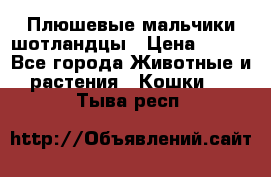 Плюшевые мальчики шотландцы › Цена ­ 500 - Все города Животные и растения » Кошки   . Тыва респ.